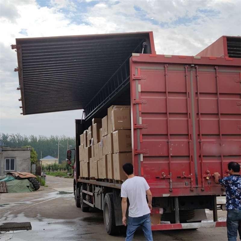大名县扎囊县：物流专线的高效货运之旅